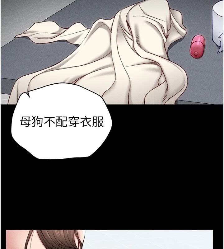 第6张