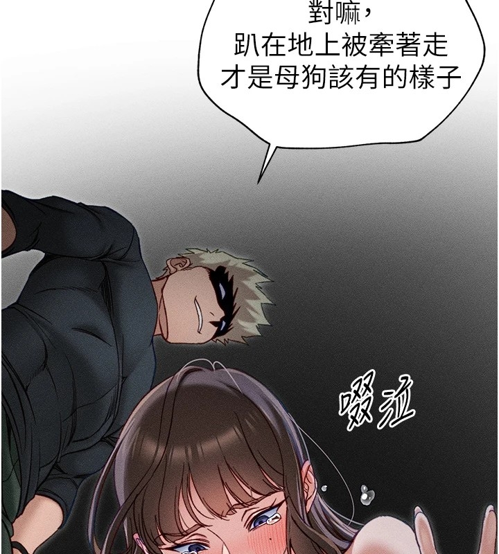 第16张