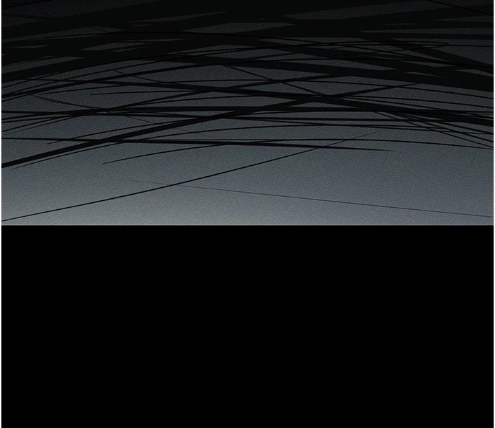 第146张