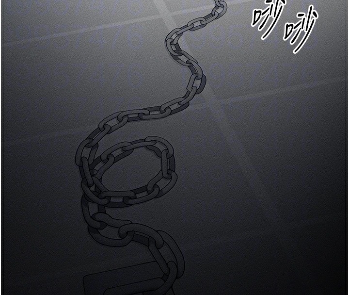 第37张