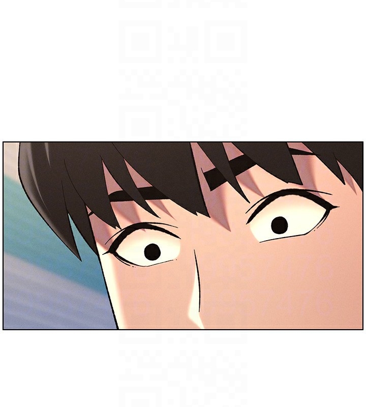 第111张