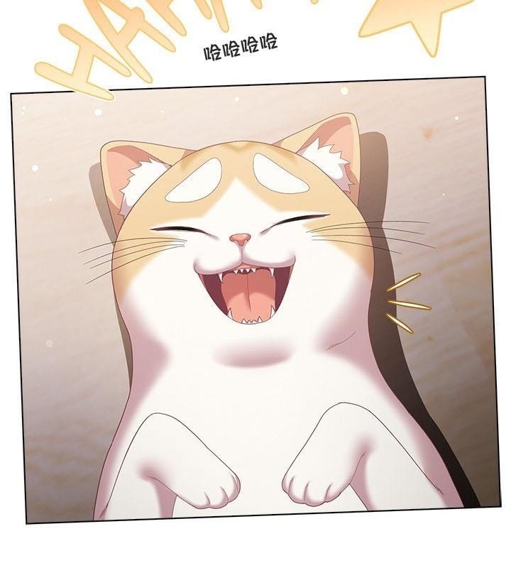 第8张