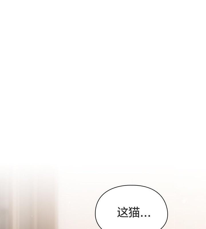 第11张