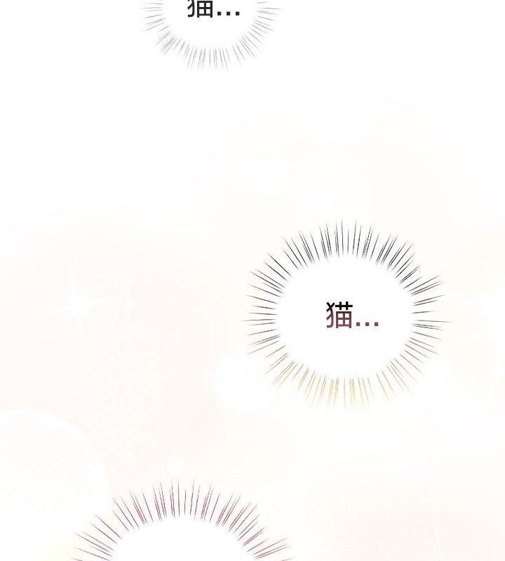 第64张