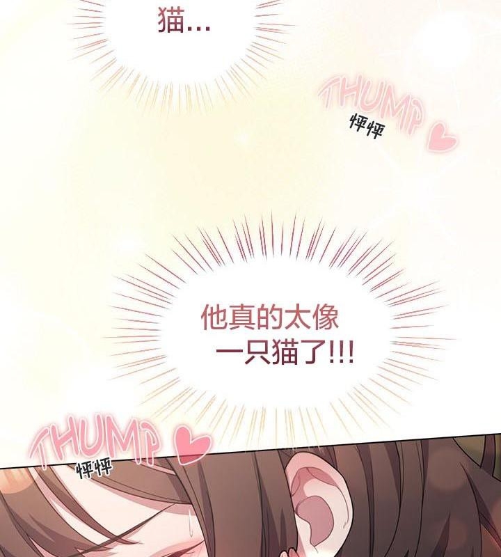 第65张