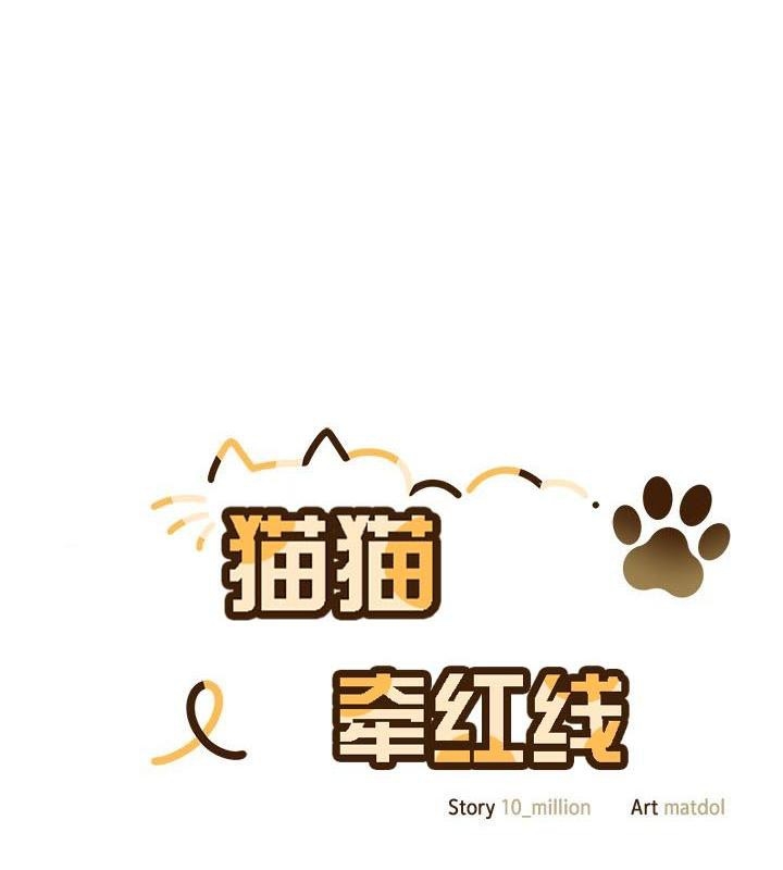 第5张