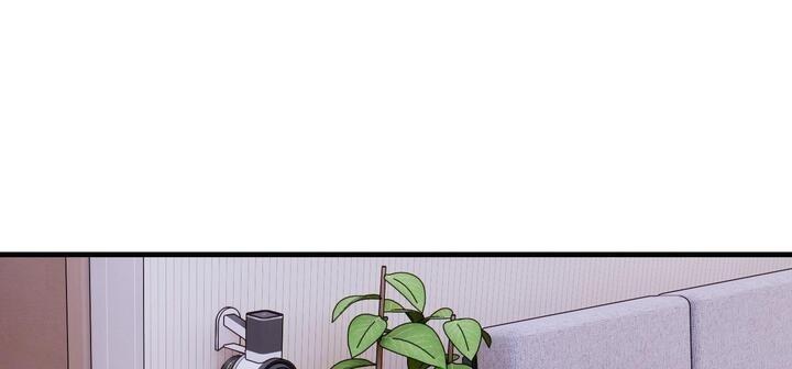 第132张