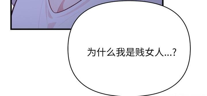 第233张