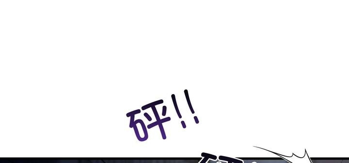 第146张