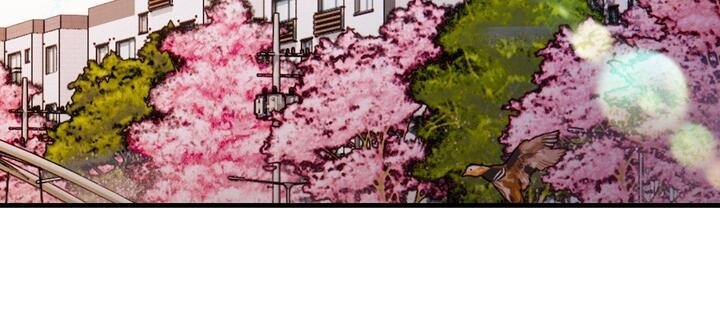 第150张