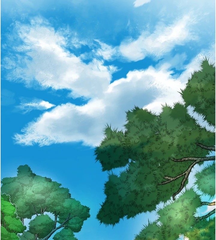 第49张