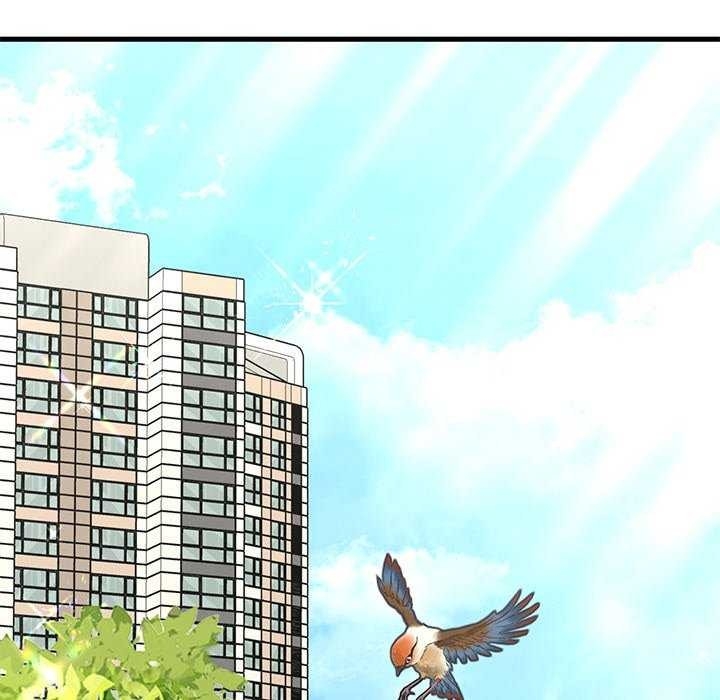 第121张