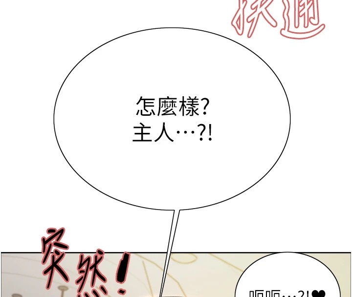 第41张