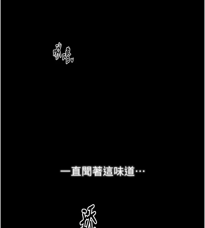 第183张