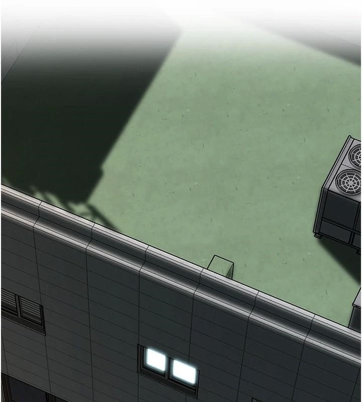 第6张