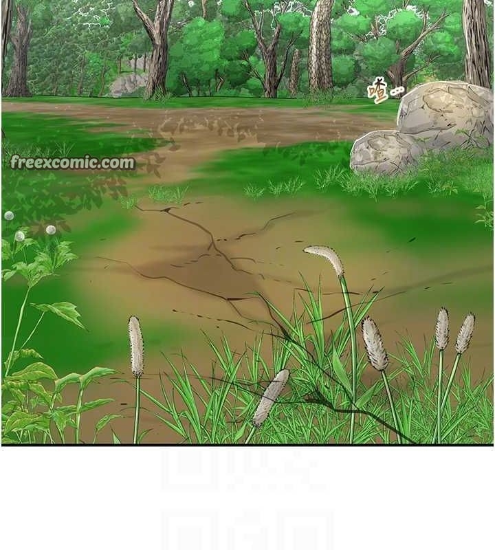 第63张