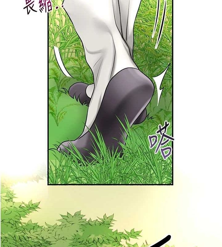 第46张