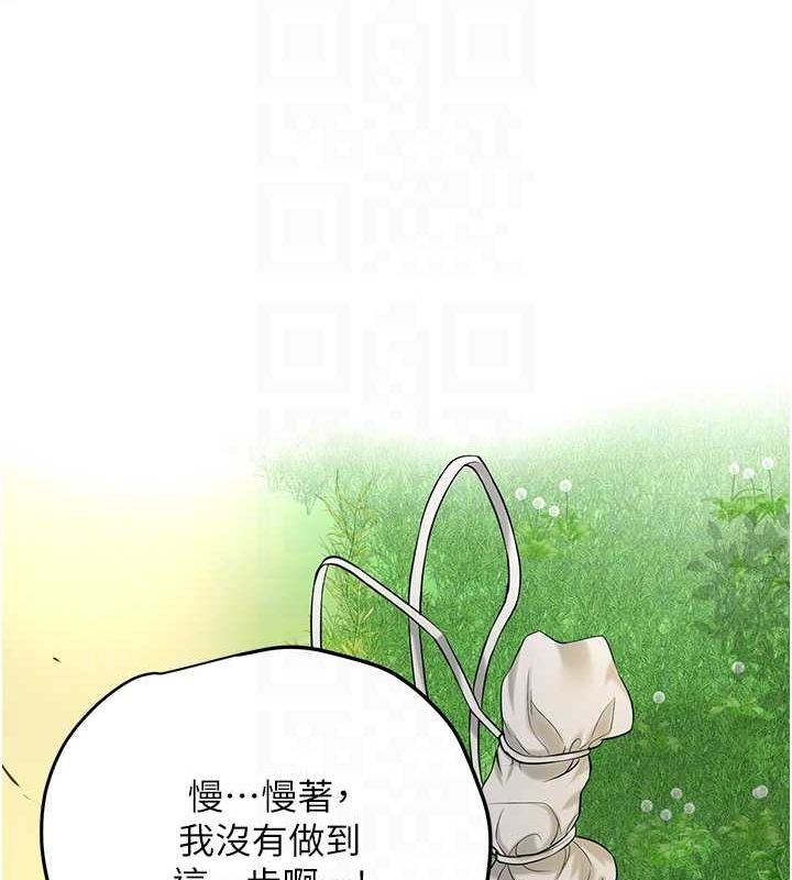第68张