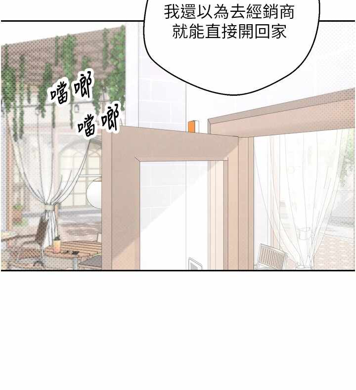 第156张
