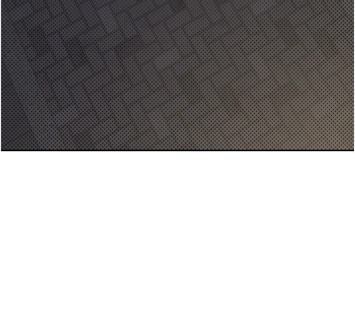 第46张