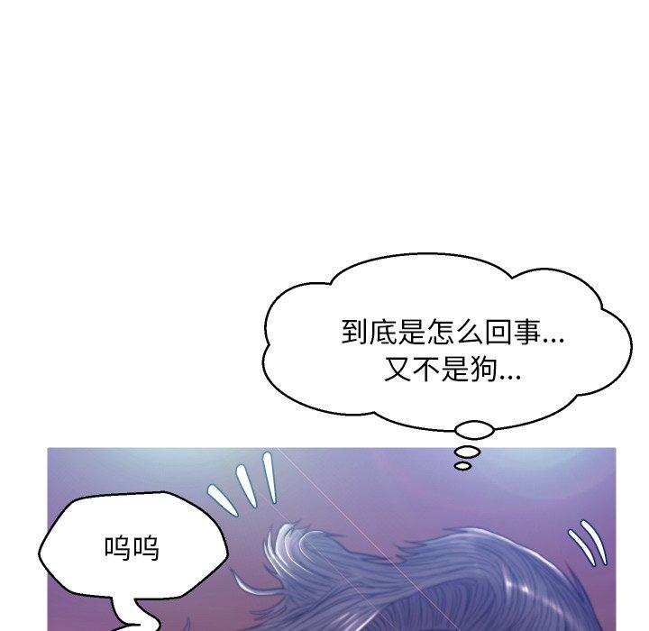 第46张
