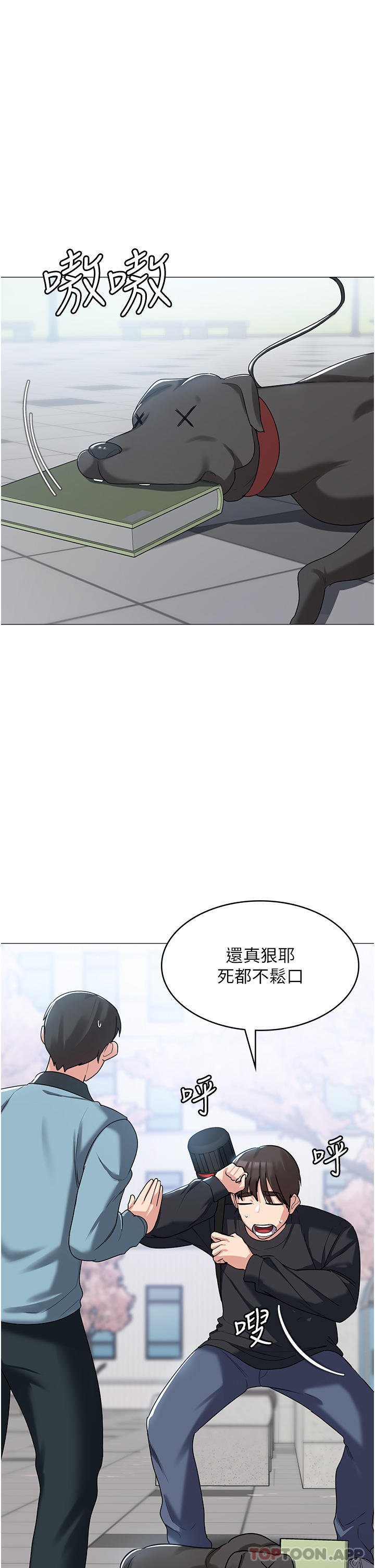 第44张