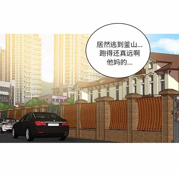 第65张