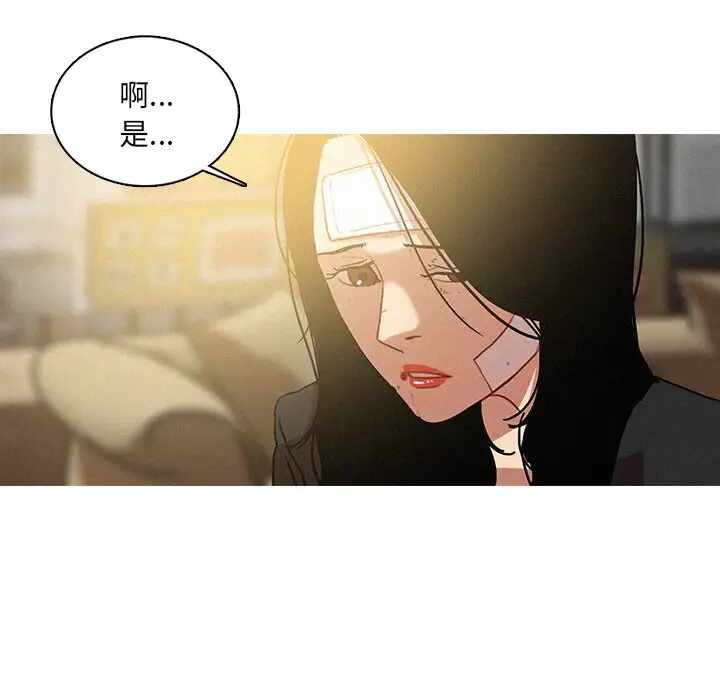 第17张