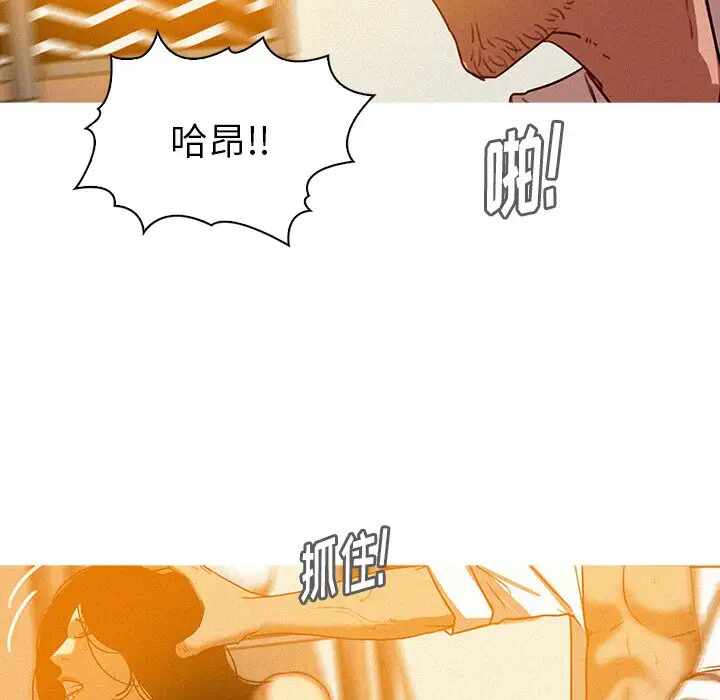第22张