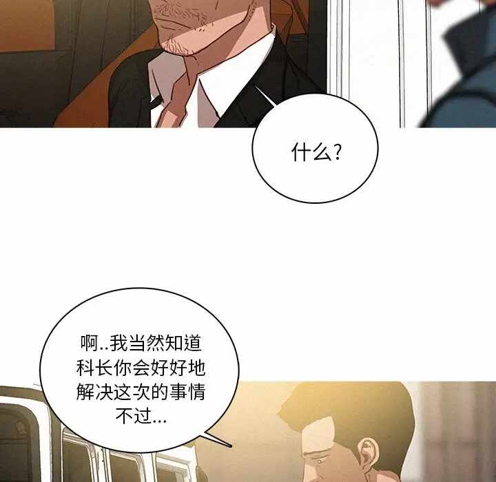 第35张