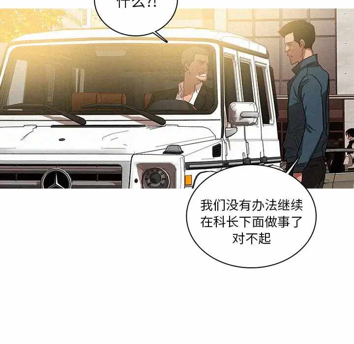 第41张