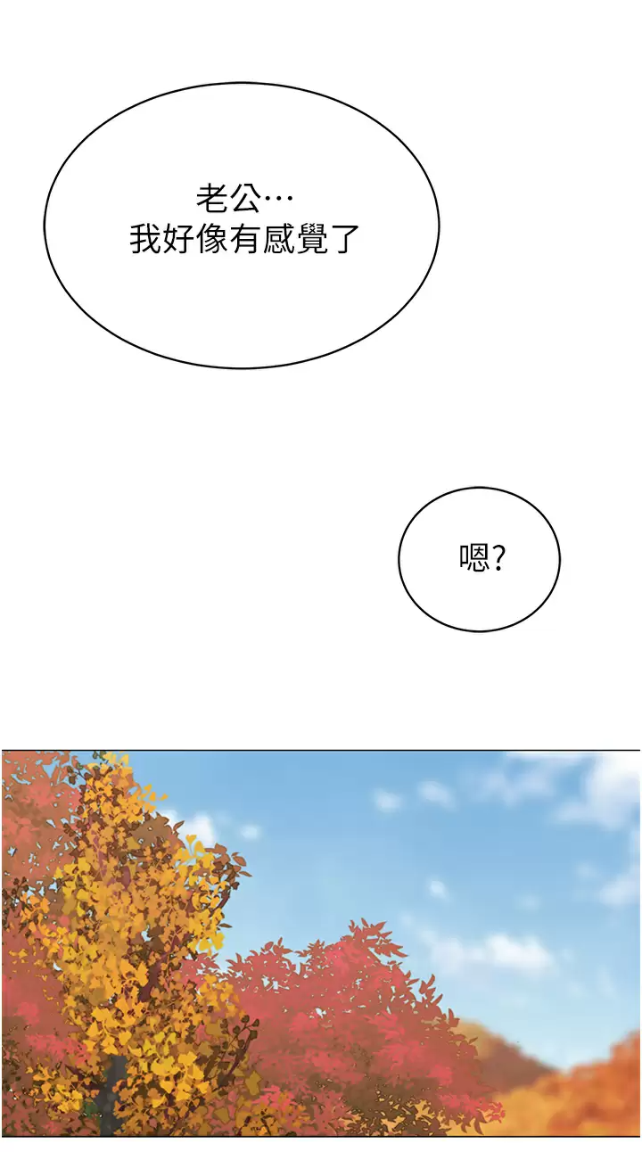 第43张