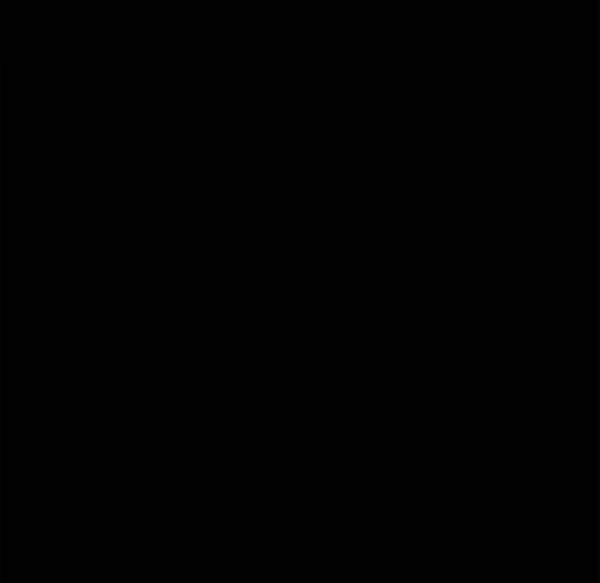 第14张