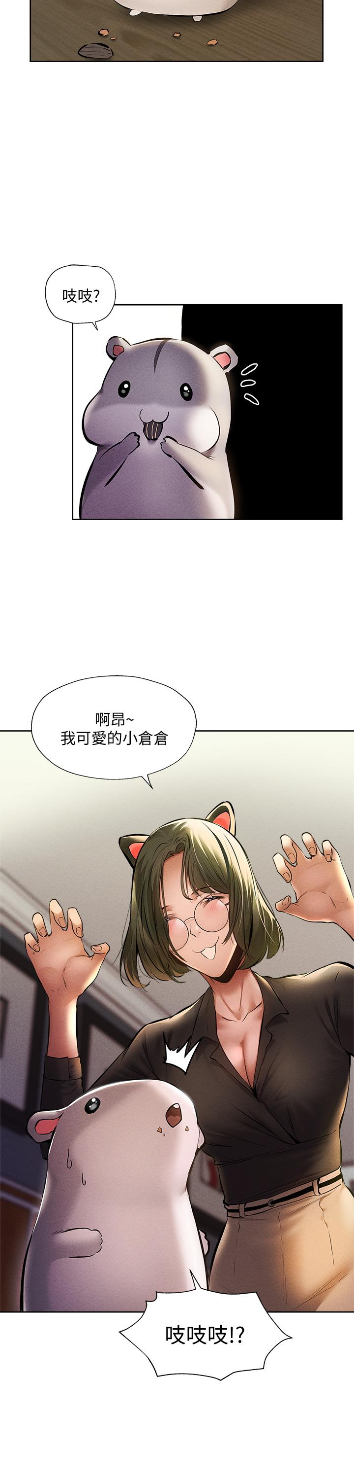 第5张