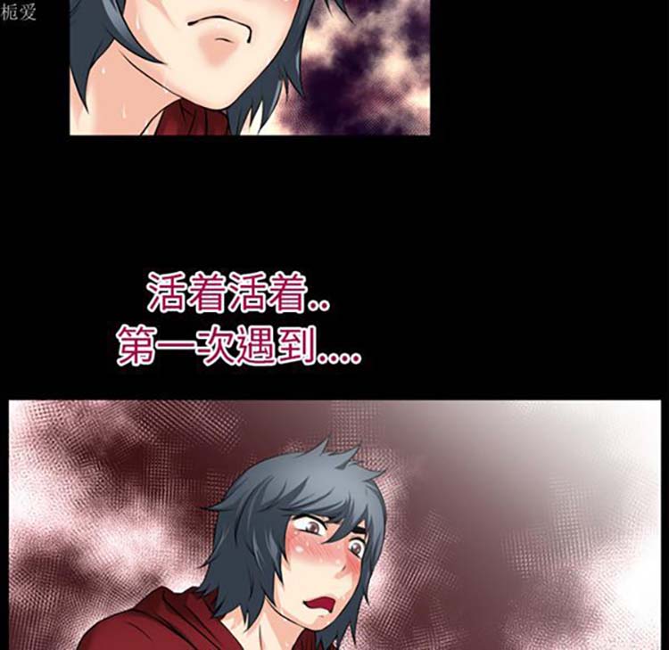 第41张