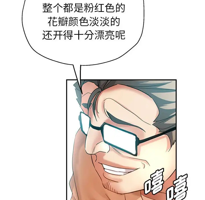 第75张