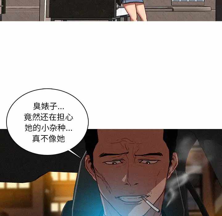 第53张