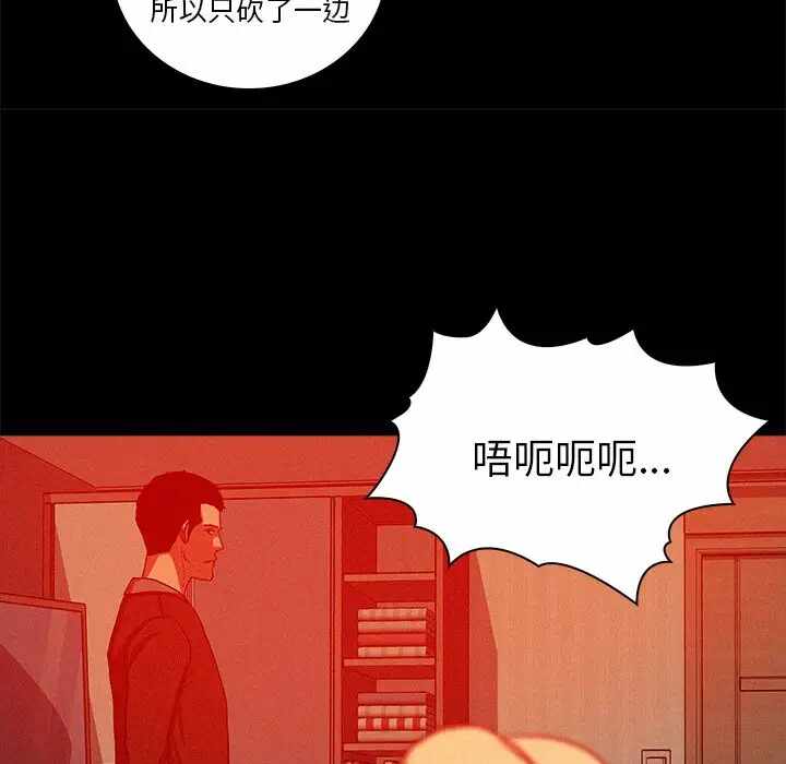 第54张