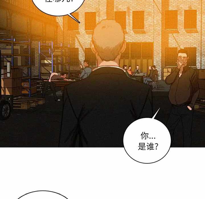 第29张