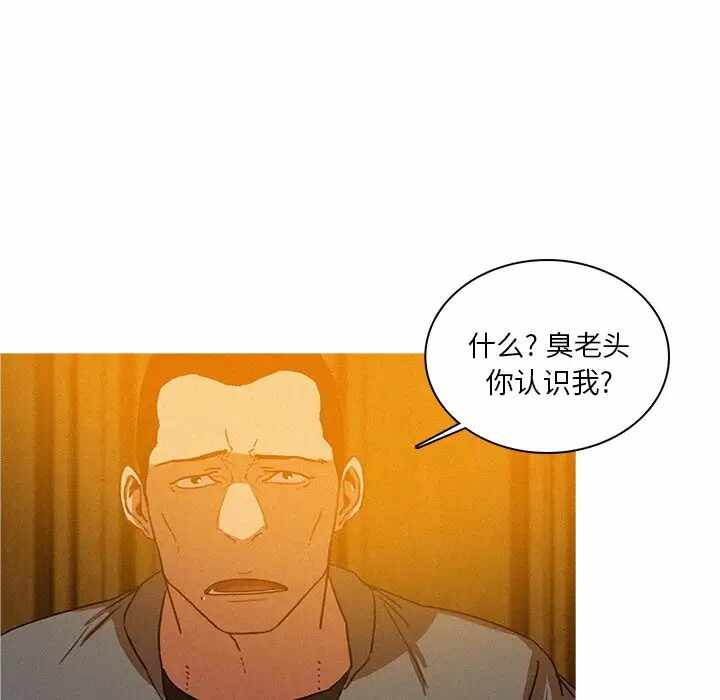 第33张