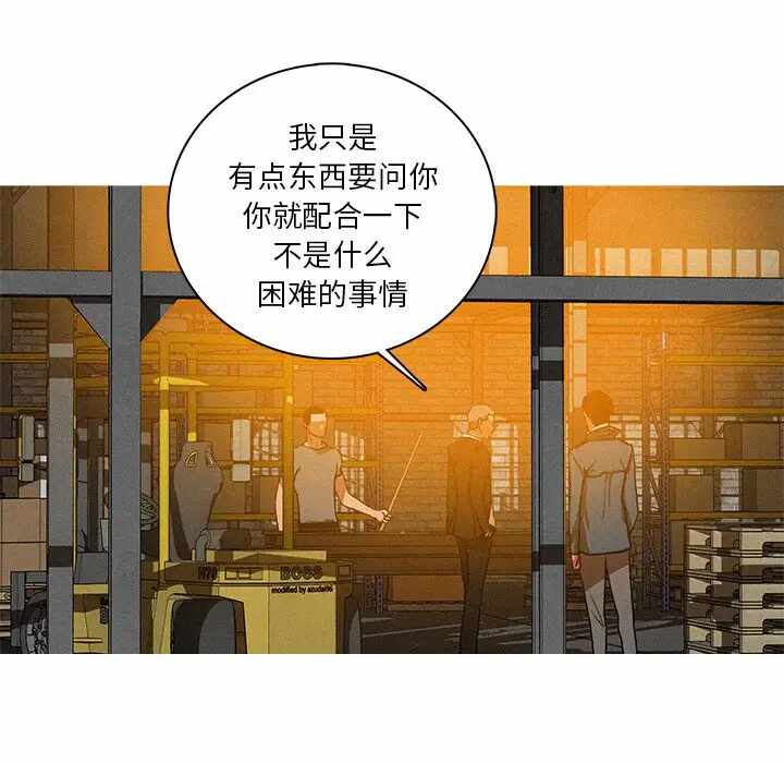 第37张
