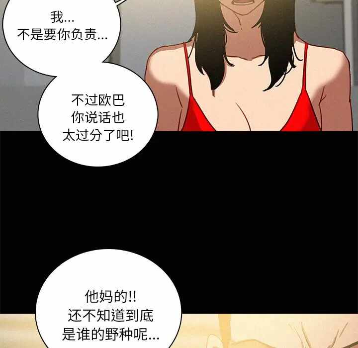 第53张