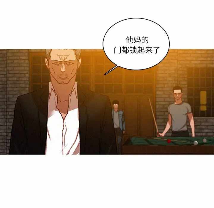 第53张