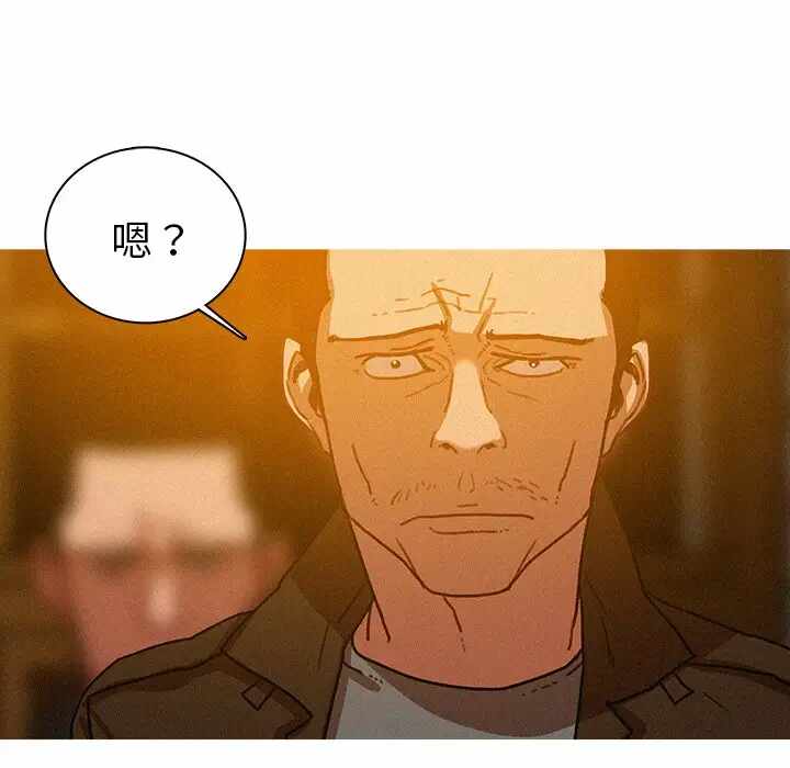 第56张
