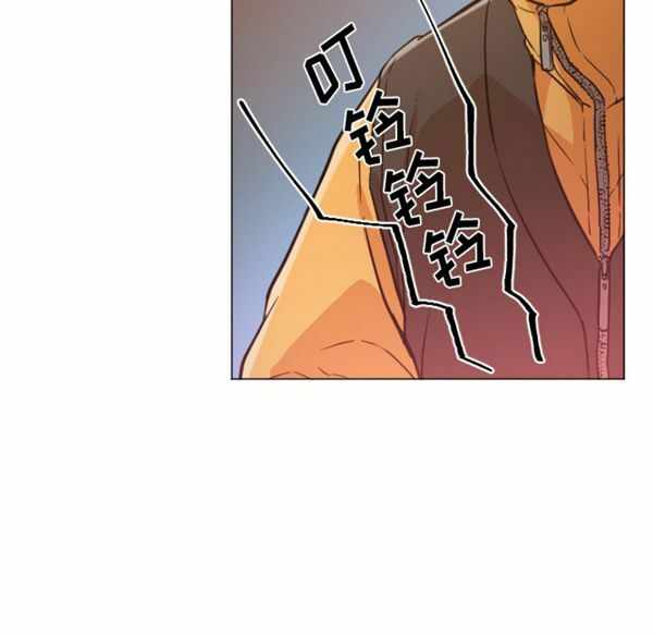 第80张