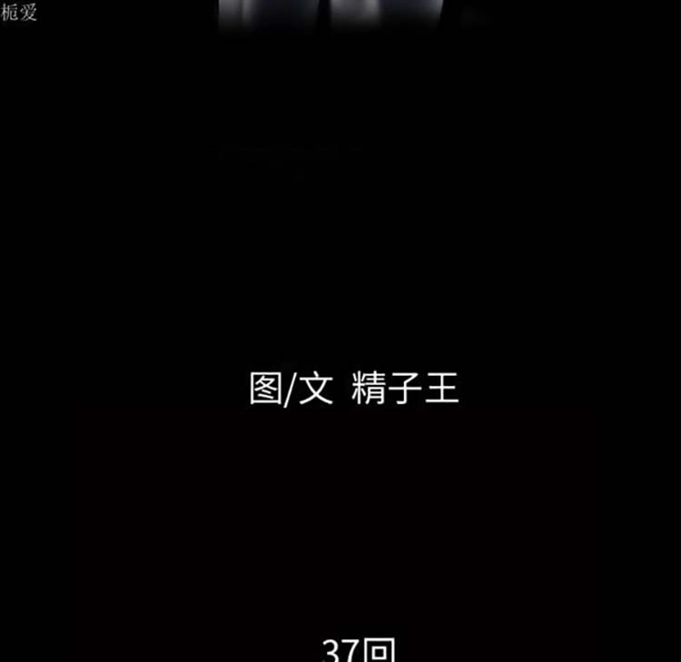 第24张