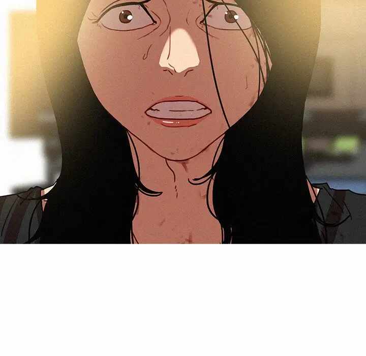 第37张