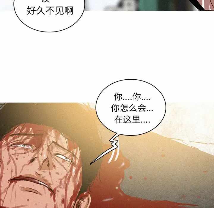 第54张