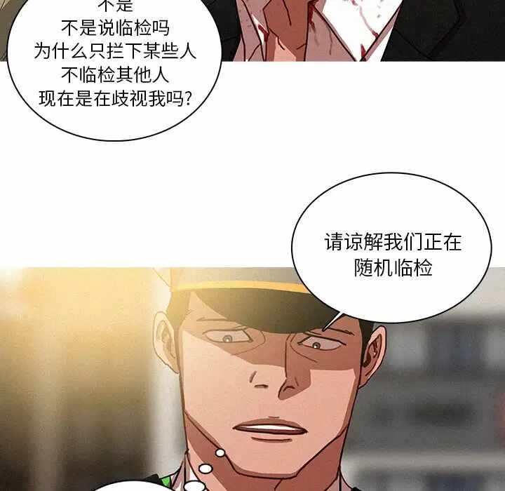 第95张
