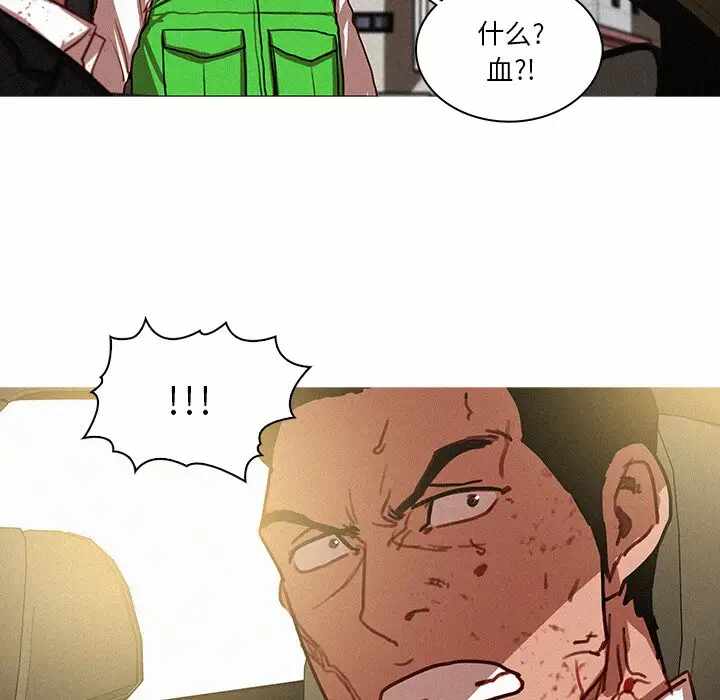 第4张